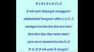 HANUMAN VADVANAL STOTRA Fastest hanuman vadvanal Smitjoshiofficial sanatandharma [upl. by Atena]