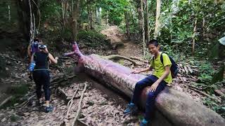 How to Hike Bukit Jambul  Hiking Penang [upl. by Vil]