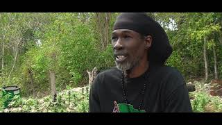 AKAE BEKA VAUGHN BENJAMIN INTERVIEW West End Negril Jamaica March 6th 2016 [upl. by Oruhtra216]