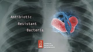 Antibiotic Resistant Bacteria [upl. by Danika]