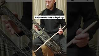 Wardruna Fehu cover on Tagelharpa Talharpa  Jouhikko [upl. by Varuag]