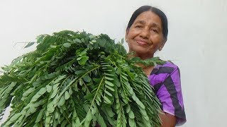 Healthy Village Food ❤ cooking Sesbania Grandiflora Leaves in my Village by my Mom [upl. by Gnud]