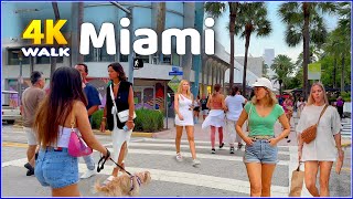 【4K】𝐖𝐀𝐋𝐊 ➜ ☘️ MIAMI 🇺🇸 USA 🇺🇸 4K video 𝐇𝐃𝐑 [upl. by Braasch249]