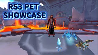 Pets That I Have Acquired While Playing RuneScape  RS3 [upl. by Nathanoj520]