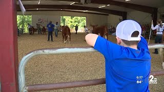 76th annual Howard County Fair returned to West Friendship [upl. by Alita]