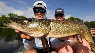 Im Back Opening Day PB Pike [upl. by Acnaiv218]