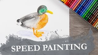 CRETACOLOR  Speed Painting  DUCK [upl. by Burrill]