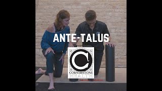 AnteTalus Physical Therapy Ankle Exercises with Liz and JP [upl. by Erikson]