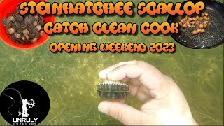 Steinhatchee Scallop Catch Clean Cook Opening Weekend 2023 with Jay Maxwell of 46Ten productions4K [upl. by Otrepur865]