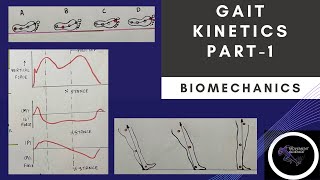 GAIT KINETICS  Part 1 Gait BiomechanicsPhysiotherapy Tutorial [upl. by Norrehc]