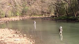 After Hunting For Diamonds You Can Trout Fish Just 11 Miles North Of The State Park At Hinds Bluff [upl. by Ilzel484]