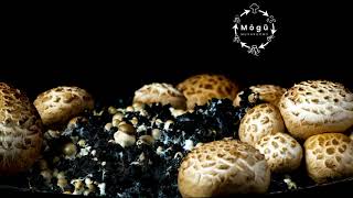 Agaricus bisporus White button Portobello Mushrooms Fruiting Body Growth Phase [upl. by Eirrak]