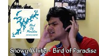 Snowy White  Bird of Paradise Cover by Siddhesh Kamat [upl. by Aivekal]