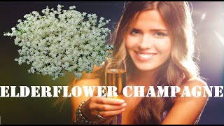 Elderflower Champagne Pt 1 [upl. by Tammara997]