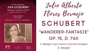 Clase magistral Ana Guijarro  Schubert quotWandererFantasiequot op 15  1º y 2º mov [upl. by Ermina]