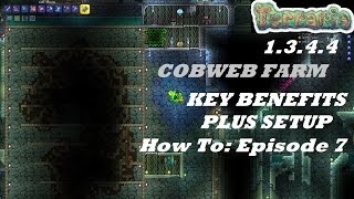 Terraria 1344 HOW TO  Build a Cobweb Farm  Important Benefits  Setup  Episode 7 [upl. by Zurn]