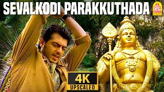 Seval Kodi  4K Video Songசேவல்கொடி பறக்குதடா  Billa  Ajith Kumar  Yuvan Shankar Raja  Ayngaran [upl. by Bohun]