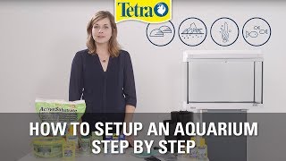 How to set up an aquarium  Fish tank setup step by step [upl. by Tadashi]