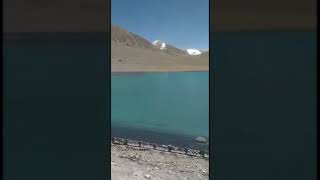 Gurudongmar lake  Sikkim ytshorts nature lake [upl. by Vipul]