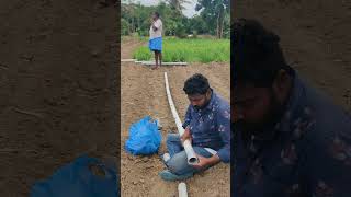 patu dala mrbavazan angallu viral animals trending trendingshorts shots viralvideo music [upl. by Monto]