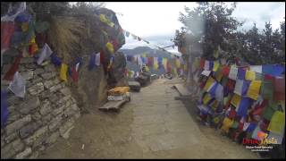 Trekking Tiger Nest Monastery Paro Takstang [upl. by Ruscio899]