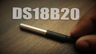 DS18B20 Temperature Sensor Tutorial [upl. by Fishback]