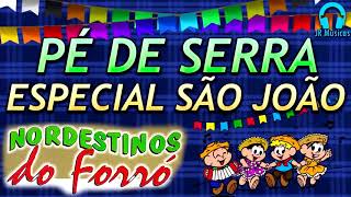 NORDESTINO DO FORRÓ PÉ DE SERRA ESPECIAL SÃO JOÃO [upl. by Nissie445]