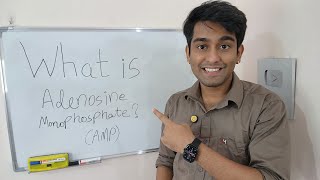 Learn What is Adenosine Monophosphate AMP   AMP  The Energy and Signal Messenger  in Biology [upl. by Alorac]