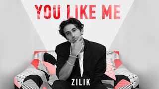 Zilik  You Like Me Official Music Video [upl. by Manly]