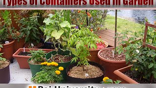 Types of Containers Used in Garden  Basics of Gardening [upl. by Clywd]