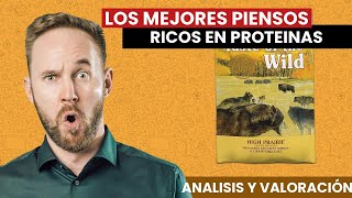 Los MEJORES Piensos ricos en PROTEINAS PERRO  GATO los MEJORES 2021 [upl. by Gottfried]