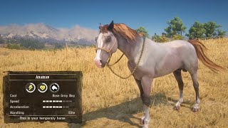 All 5 Rare Arabian Horse Location amp Rankings  RDR2 [upl. by Carey]