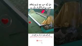 Prophet Muhammads SAW Grave♥  Kia Ya Sach much Nabiﷺ k qabar ha🤔 islamic islam اسلام اسلامی [upl. by Nrevel591]