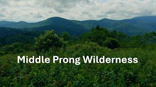 Middle Prong Wilderness [upl. by Gore]