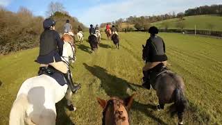 28124 hunting Rotherfield Park with the South Down Bloodhounds [upl. by Rise]