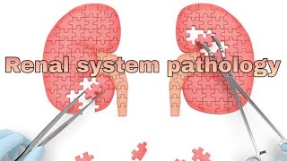 Renal system pathology 1st lecture [upl. by Alan]