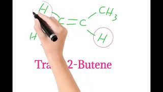 How to draw cis and trans 2 Butene  structure of cis and trans 2 Butene isomers [upl. by Eirot]