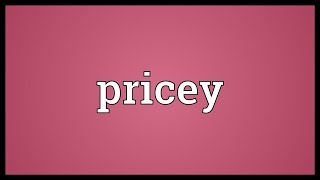 Pricey Meaning [upl. by Ayekram686]