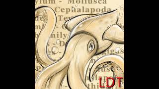 Episode 1 – The NotSoHumble Humboldt Squid [upl. by Snave]