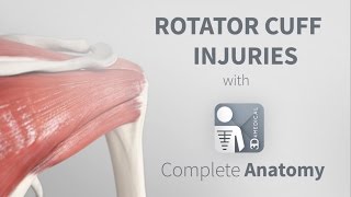 Rotator Cuff Injuries  Complete Anatomy [upl. by Netsrak632]