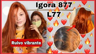 ruivo vibrante igora 877 com superclareadora l77 [upl. by Blaire]