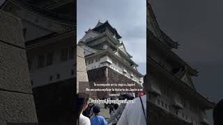 Si Ves Este Video Iras a Japón este AÑO 🤩🇯🇵 japon travel experiencias [upl. by Odlaner]