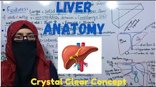 Liver Anatomy2  Lobes of Liver  Caudate amp Quadrate Lobes  Porta Hepatis ayeshamedicaleducation [upl. by Nnayelsel972]