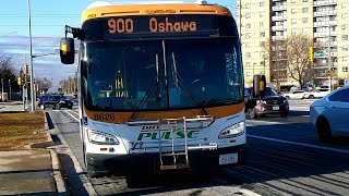 DRT Route 900 Pulse Hwy 2 Towards Oshawa [upl. by Anim]