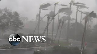 Hurricane Irma devastates western coast of Florida [upl. by Noseimaj]