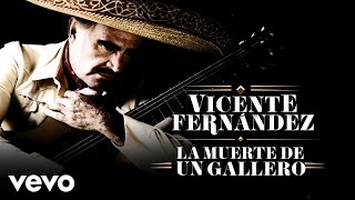 Vicente Fernández  La Muerte de un Gallero LetraLyrics [upl. by Miran]