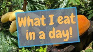 What I Eat in A Day  Raw Vegan  intermittent fasting  fruitarian [upl. by Angela765]