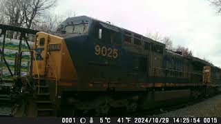 241103 North Facing Backyard Railcam [upl. by Merv]