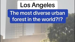 Los Angeles The Most Diverse Urban Forest in the World [upl. by Oir]