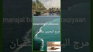 marajal bahraini  miracle of Quran  the tow seas مرج البحرین یلتقیان [upl. by Philipps]